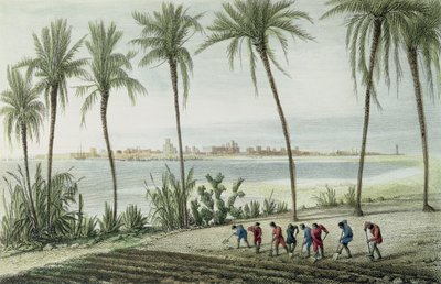 General View of Cadiz, engraved by John Pye by J. Taylor
